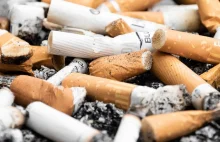 Holandia: rząd znowu podniesie cenę papierosów. 10 euro za paczkę.