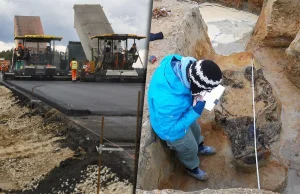 Skarby przeszłości na budowach dróg. Oto co odkryli archeolodzy na inwestycjach.