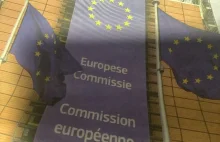 Chleb ze świerszczej mąki - korupcja zżera Unie Europejską