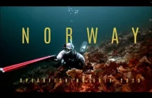 Spearfishing trip 2023 - NORWAY - YouTube