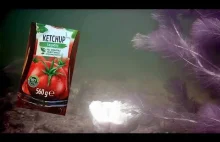 Reakcja ryb na Ketchup