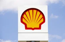 Shell odnotował ogromny zysk za miniony rok