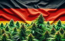 Rząd Niemiec osiągnął porozumienie. Legalizacja marihuany już od 1 kwietnia