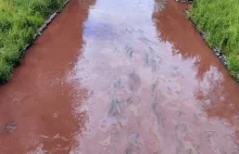 Woda zanieczyszczona chemikaliami przedostała się do innych rzek na Śląsku