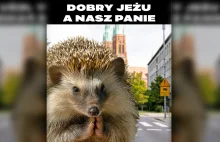 "Dobry Jeżu a nasz panie". W Rybniku awantura o... mema, który obraził uczucia