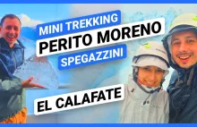 El Calafate: Lodowiec Perito Moreno (mini trekking) i wszystkie lodowce w argent