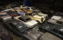 Ogromna kolekcja samochodów była ukryta przez długie lata