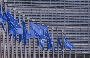 Napisz Komisji Europejskiej co sądzisz o Euro 7.Z Polski nie ma ani jednej opini