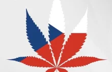 Opublikowano plany legalizacji marihuany w Czechach: Limit 150g miesięcznie