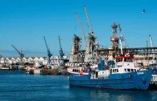 Znaleźli prawną lukę. Brytyjczycy wysyłają Rosji miliony cennych ryb