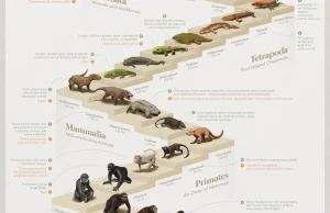 Ścieżka ewolucyjna człowieka na przestrzeni ostatnich 4 miliardów lat