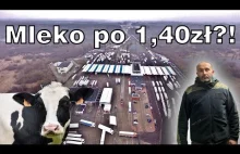 Czy mleko z Ukrainy zaleje Polskę? Trudna sytuacja rolników z Lubelszczyzny