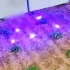 Pielenie uprawy za pomocą robota z laserem
