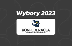 Check obietnic wyborczych Konfederacji dla przedsiębiorców