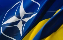 USA i Niemcy mówią "nie" szybkiej akcesji Ukrainy do NATO