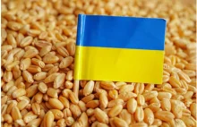 Ukraiński ekspert: Jeśli UE nie da dotacji agroholdingom, sektor rolny upadnie