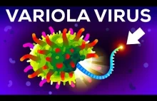 Drugi najbardziej zabójczy wirus na Ziemi - Variola. Odpowiedzialny za Ospę