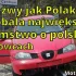 Trzeźwy jak Polak. UE demaskuje kłamstwo o polskich kierowcach