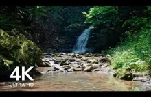 Calming Mountain Waterfall Sound For Sleep And Study 4K ASMR