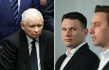 Najnowszy sondaż nie daje złudzeń. Tak ocenili Mentzena i Kaczyńskiego - WP Wiad