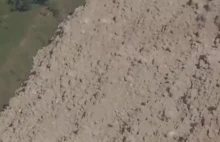 Potężna lawina z skał, lodu i śniegu w szwajcarskich Alpach (WIDEO)