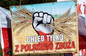 Agroholdingi oligarchów. Z kim mierzą się polscy rolnicy?