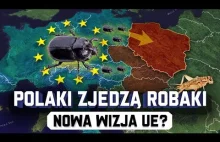 Globalista: Polacy będą jedli ŚWIERSZCZE i PORZUCĄ SAMOLOTY - Wizja Unii?