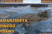 Zamarznieta Powódź Widawy - Wrocław - psie pole 2024