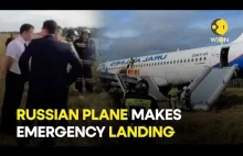 Rosyjski Airbus ze 159 pasażerami awaryjnie ląduje w szczerym polu