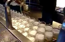 Nalewanie piwa w Republice Czeskiej