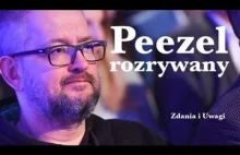 Peezel rozrywany - DLACZEGO PSL teraz "nie pójdzie" z PISem