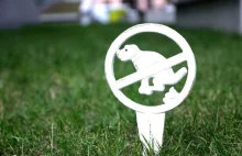 Z dedykacją dla wszystkich antypsiarzy.