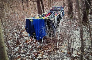 Suszarka z praniem w lesie. Lasy Państwowe opublikowały zaskakujące zdjęcie