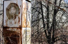 Rosjanie w Strefie Czarnobylskiej. Byliśmy w Czerwonym Lesie, gdzie kopali okopy