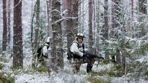 Rola tego regionu w NATO "większa niż kiedykolwiek"