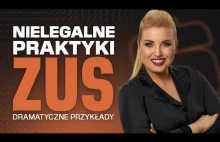 ZUS TO LICHWA? Mecenas ujawnia szokujące praktyki urzędów