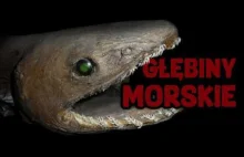 Głębiny Morskie. Stworzenia z koszmarów.