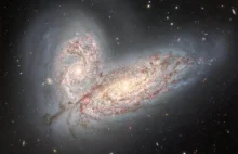 Łączenie się galaktyk rzuca światło na model ewolucji galaktyk
