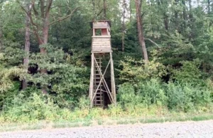 Myśliwy pomylił mężczyznę z dzikiem