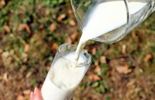 Znana marka zamienników mleka gotowa na ekspansję w Polsce!