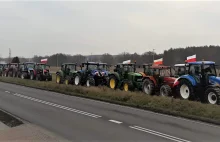 Ogólnokrajowe protesty rolników przeciwko importowi zbóż z Ukrainy