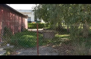 Pięciu mężczyzn skazano za gwałty. "Zostałam nakłoniona do składania fałszywych"