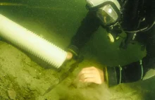 "Niezwykłe znalezisko w Lednicy. Włócznie sprzed tysiąca lat"