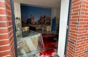 Łoś wskoczył przez okno do szkoły w Krakowie. Poważnie ranił mężczyznę