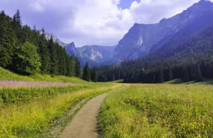 Dolina Małej Łąki w Tatrach: Wielka Polana Małołącka. Szlaki, mapy, trasy.