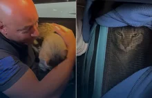 Amerykański żołnierz zakochał się w bezdomnym kocie z Polski. Zabrał go ze sobą