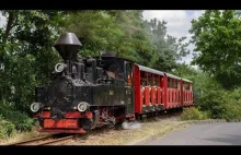 Parowóz HF 99 0001 oraz spalinowy zespół trakcyjny ICE - Parkeisenbahn Cottbus