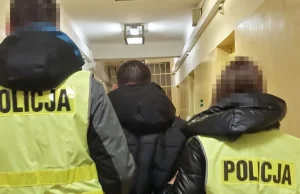 Zabił, bo nie dał się pogłaskać. Grozi mu 5 lat więzienia