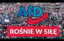 Czy AfD uznaje granicę Niemiec z Polską? Alternatywa dla Niemiec rośnie w siłę.