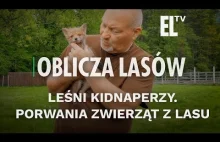 Leśni Kidnaperzy. Porwania zwierząt z lasu | OBLICZA LASÓW #150